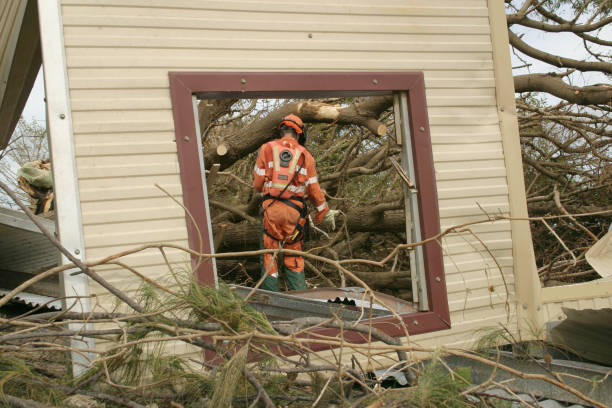 How Our Tree Care Process Works  in  Keystone Heights, FL